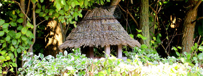 Ein Vogelhaus mit Reetdach in einer Hecke