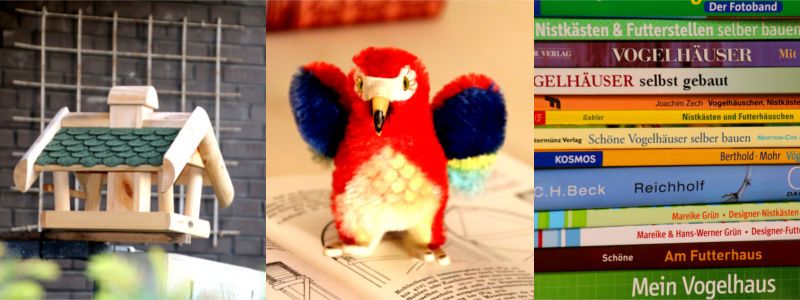 Vogelhaus auf Balkon, lesender Vogel, Bücherstapel mit Vogelhaus-Literatur