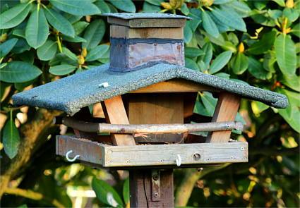 Ein selbstgebautes Silo-Vogelhaus vor einem Rhododendron